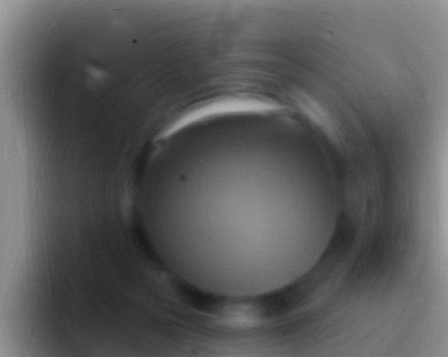 X0000092110169200709262205