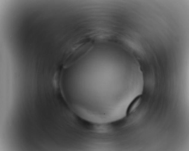 X0000092110181200709262205