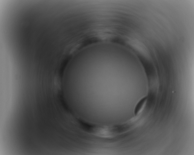 X0000092110182200709262205