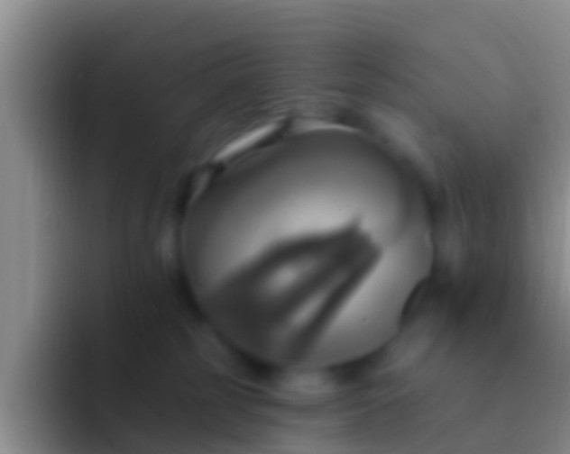 X0000092110185200709262205