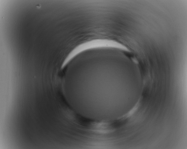 X0000092110186200709262205