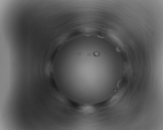 X0000092110189200709262205