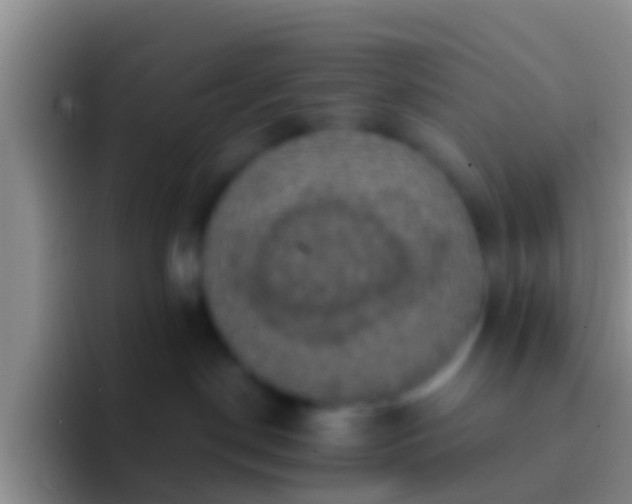 X0000092110190200709262205