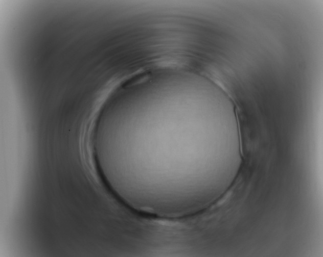 X0000092110193200709262205