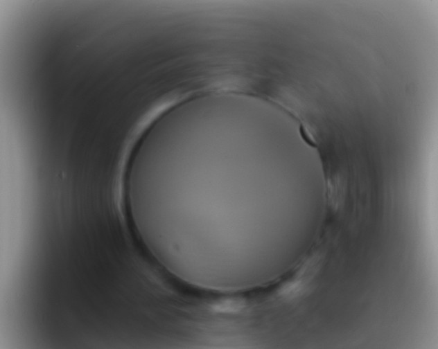 X0000092110196200709262205