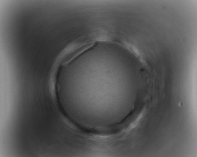 X0000092110197200709262205