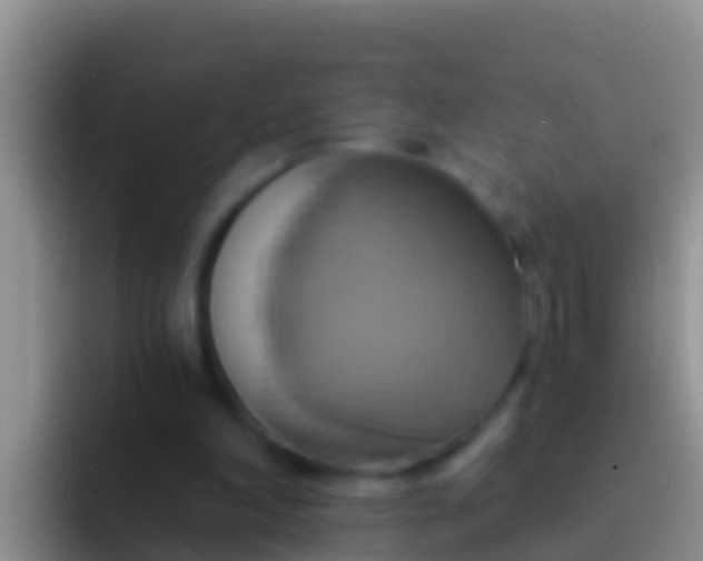 X0000092110198200709262205