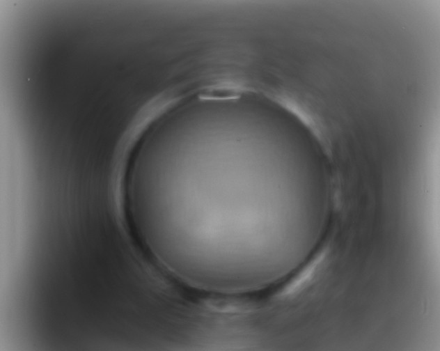 X0000092110199200709262205