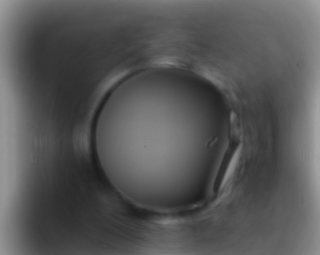 X0000092110200200709262205