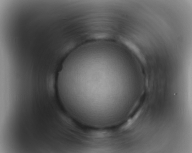 X0000092110201200709262205