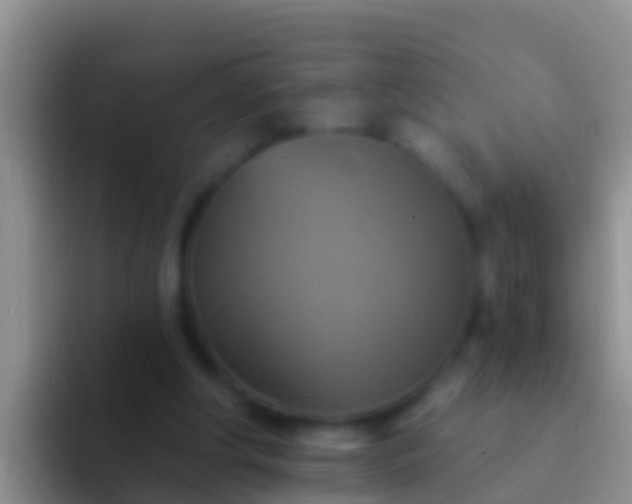 X0000092110202200709262205