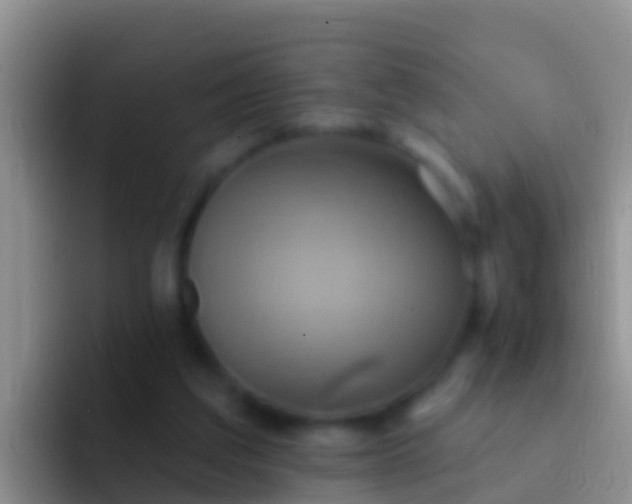 X0000092110203200709262205