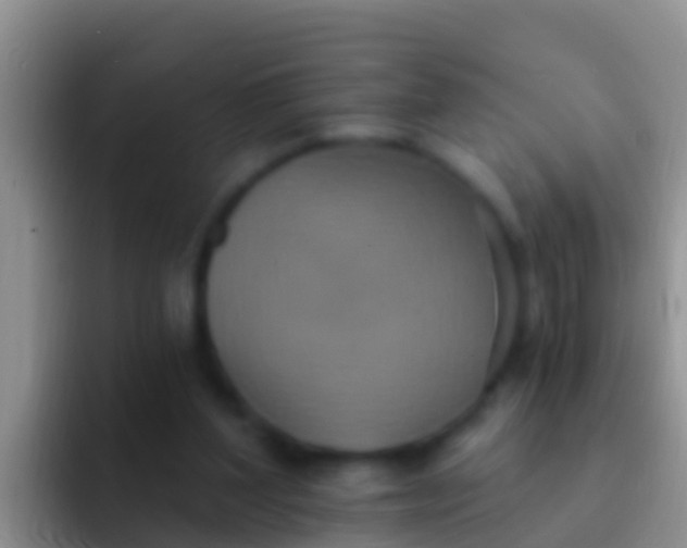 X0000092110204200709262205