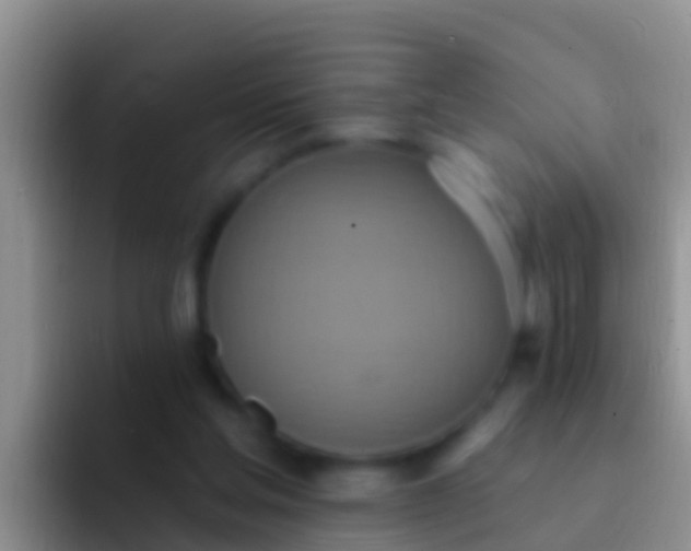 X0000092110205200709262205