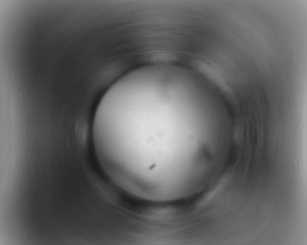 X0000092110206200709262205