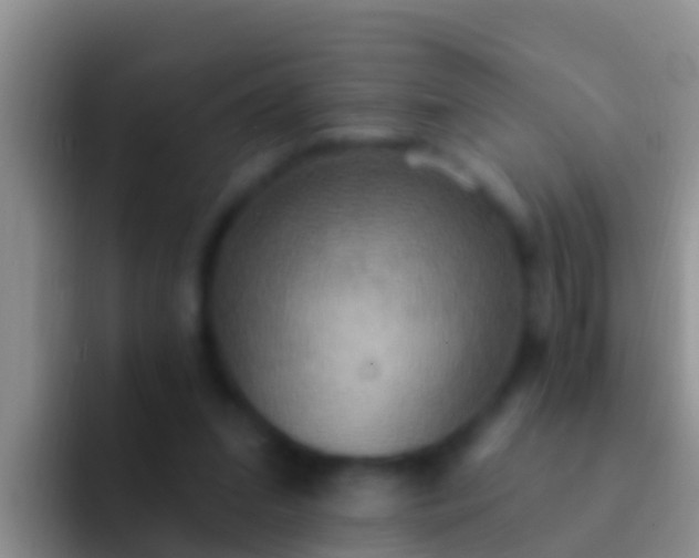 X0000092110207200709262205