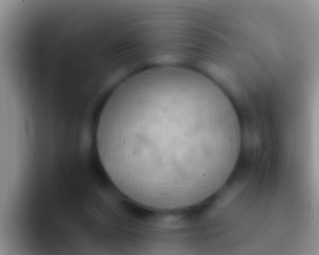 X0000092110208200709262205