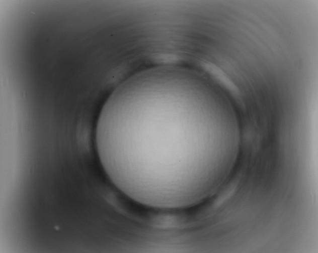 X0000092110209200709262205