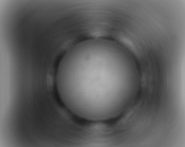 X0000092110210200709262205