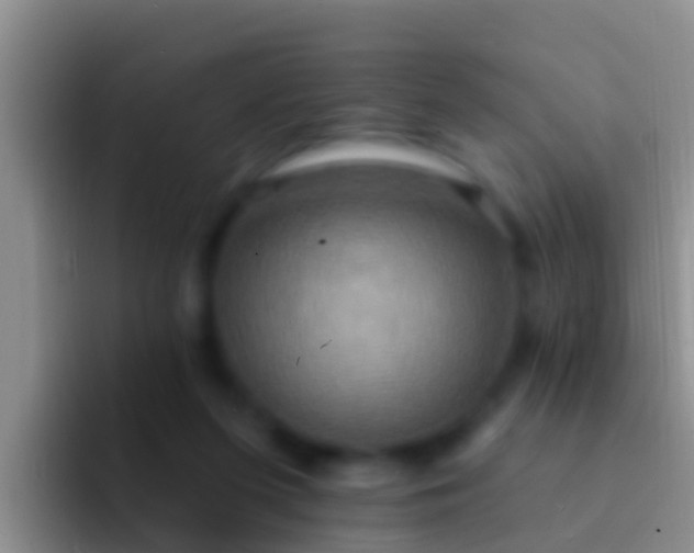 X0000092110215200709262205