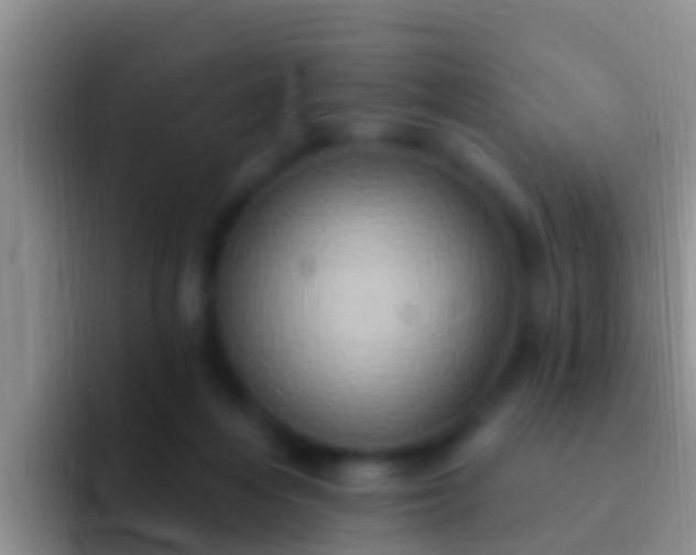 X0000092110216200709262205