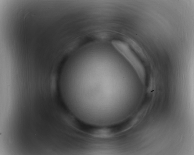 X0000092110217200709262205