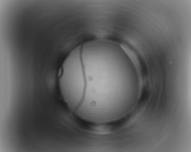 X0000092110221200709262205