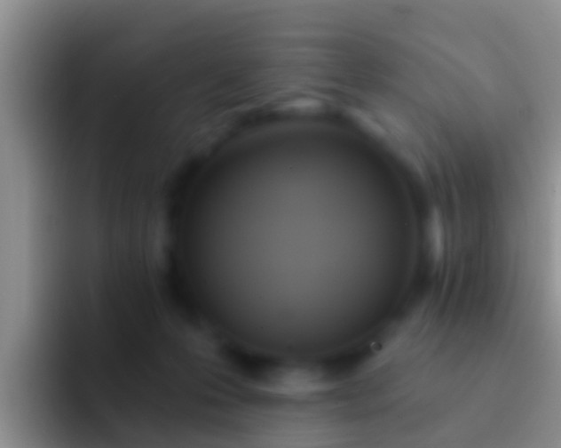 X0000092110223200709262205