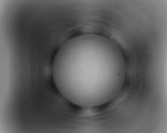 X0000092110226200709262205