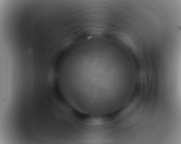 X0000092110228200709262204