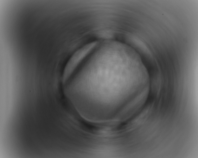 X0000092110229200709262204