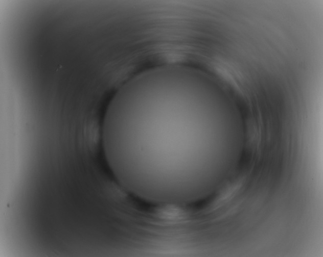 X0000092110230200709262204