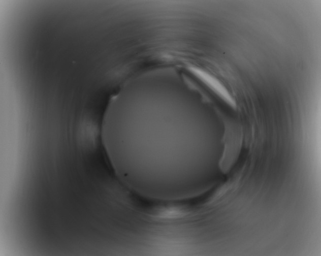 X0000092110235200709262204