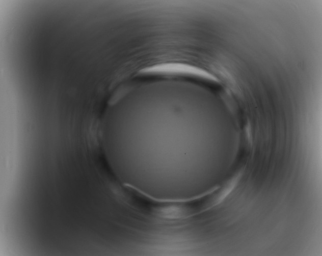 X0000092110237200709262204