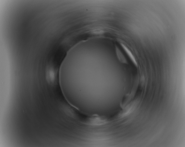 X0000092110239200709262204