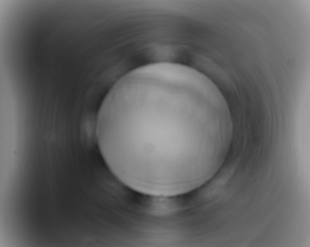 X0000092110240200709262204