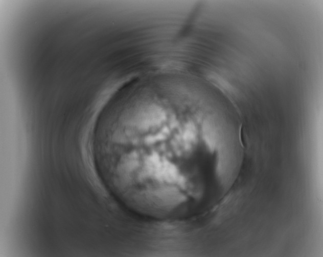 X0000092110241200709262204