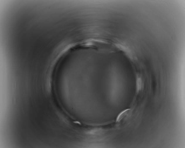 X0000092110243200709262204