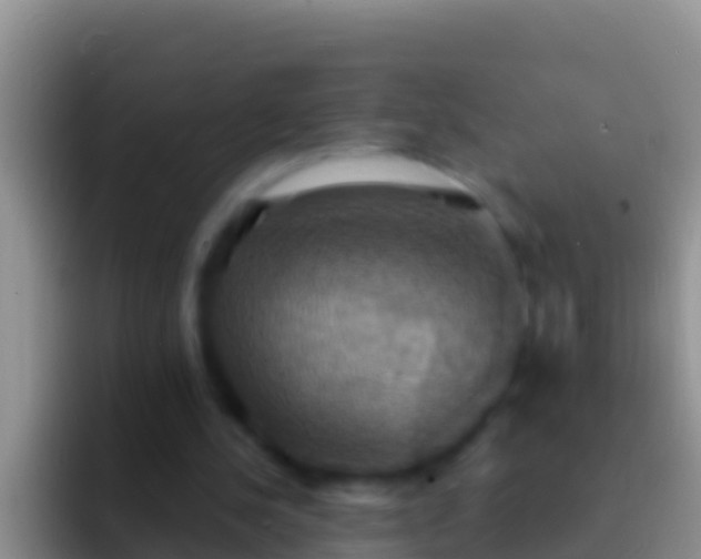 X0000092110244200709262204