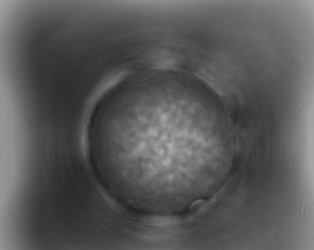 X0000092110245200709262204