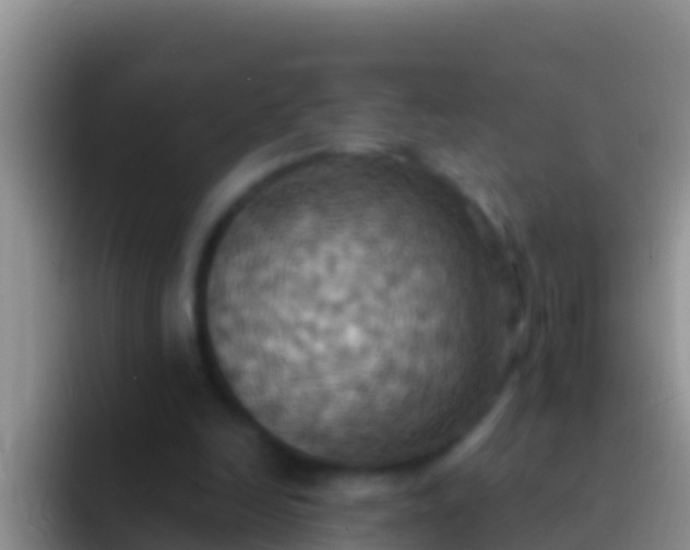 X0000092110246200709262204