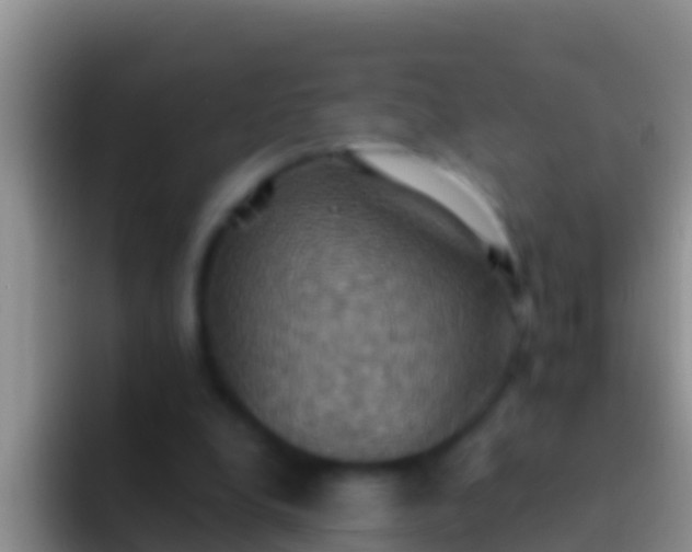 X0000092110248200709262204