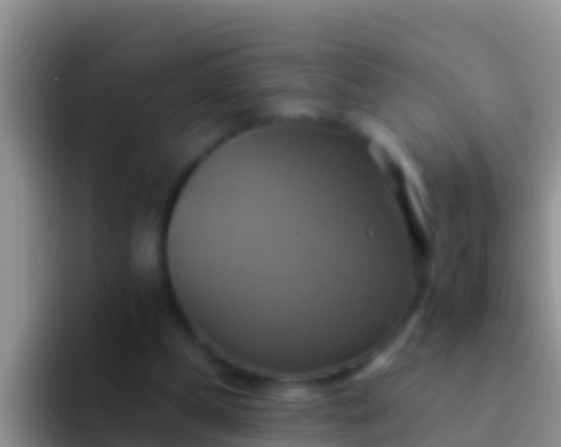 X0000092110249200709262204