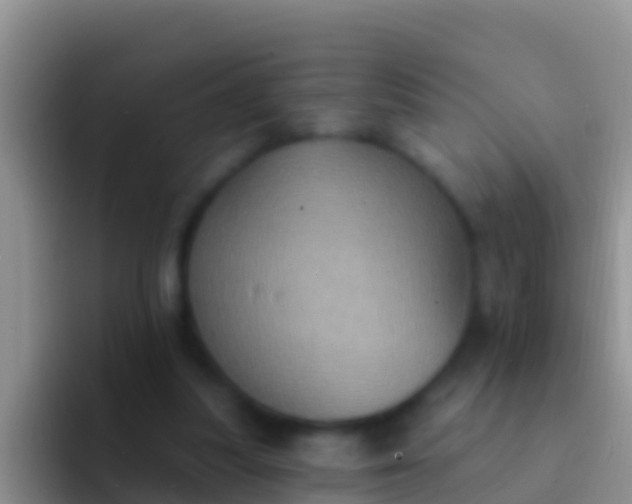 X0000092110251200709262204