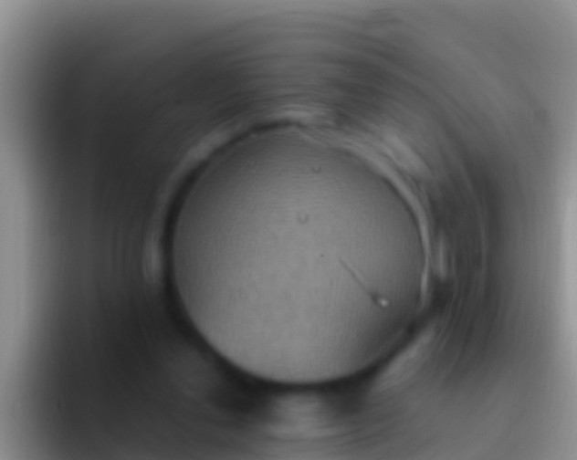 X0000092110252200709262204