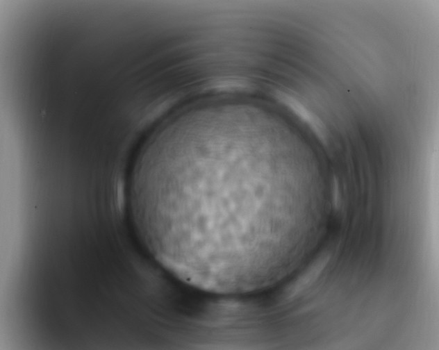 X0000092110253200709262204