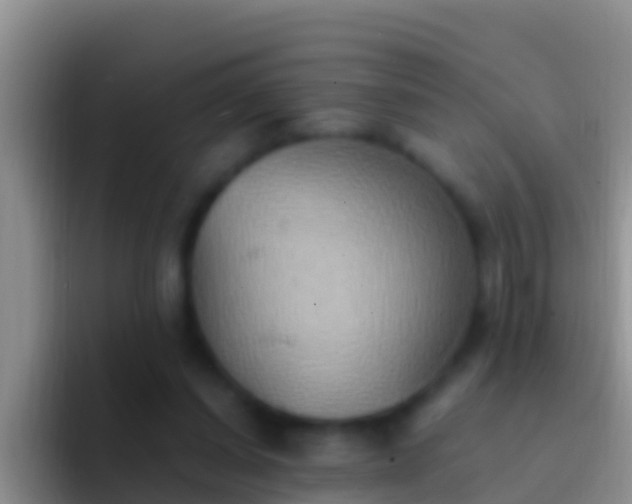 X0000092110254200709262204