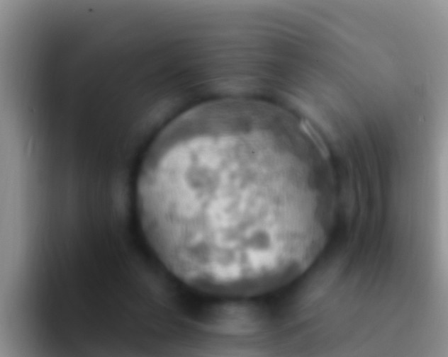 X0000092110255200709262204