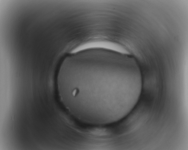 X0000092110256200709262204