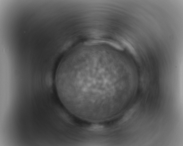 X0000092110257200709262204